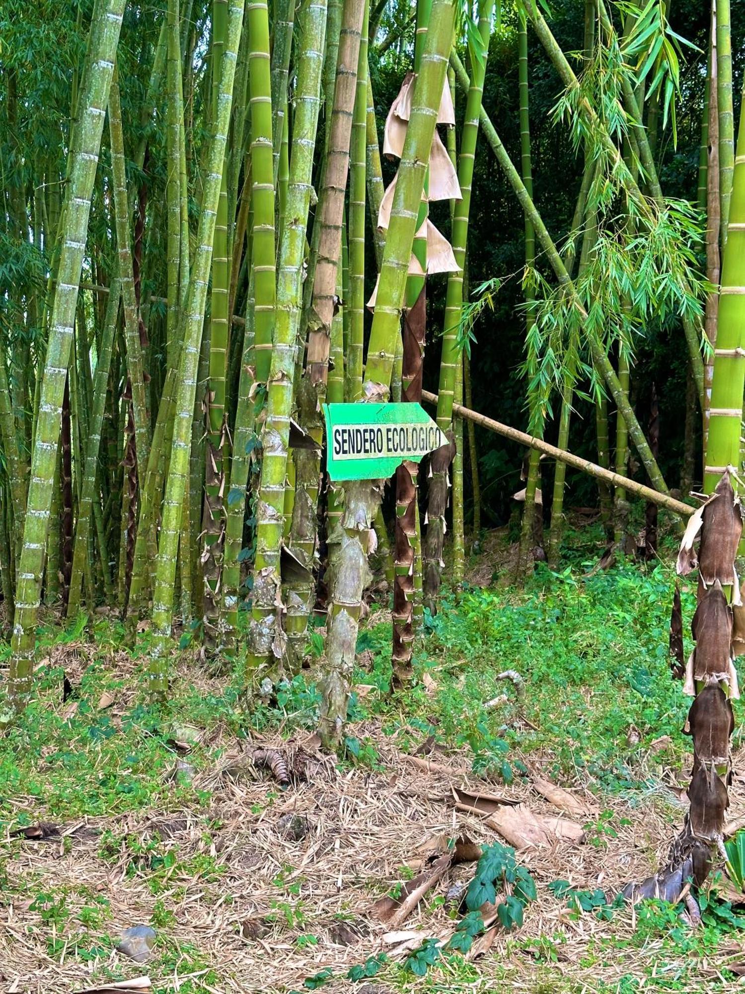 Eco Hotel La Selecta Pereira Exteriér fotografie