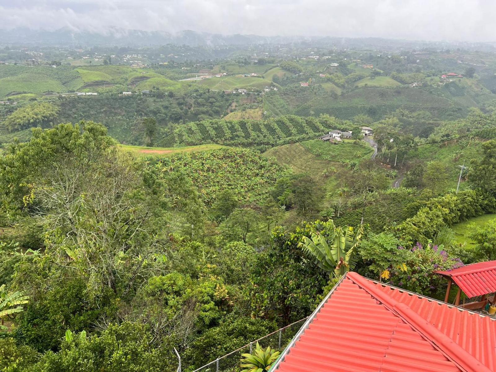 Eco Hotel La Selecta Pereira Exteriér fotografie