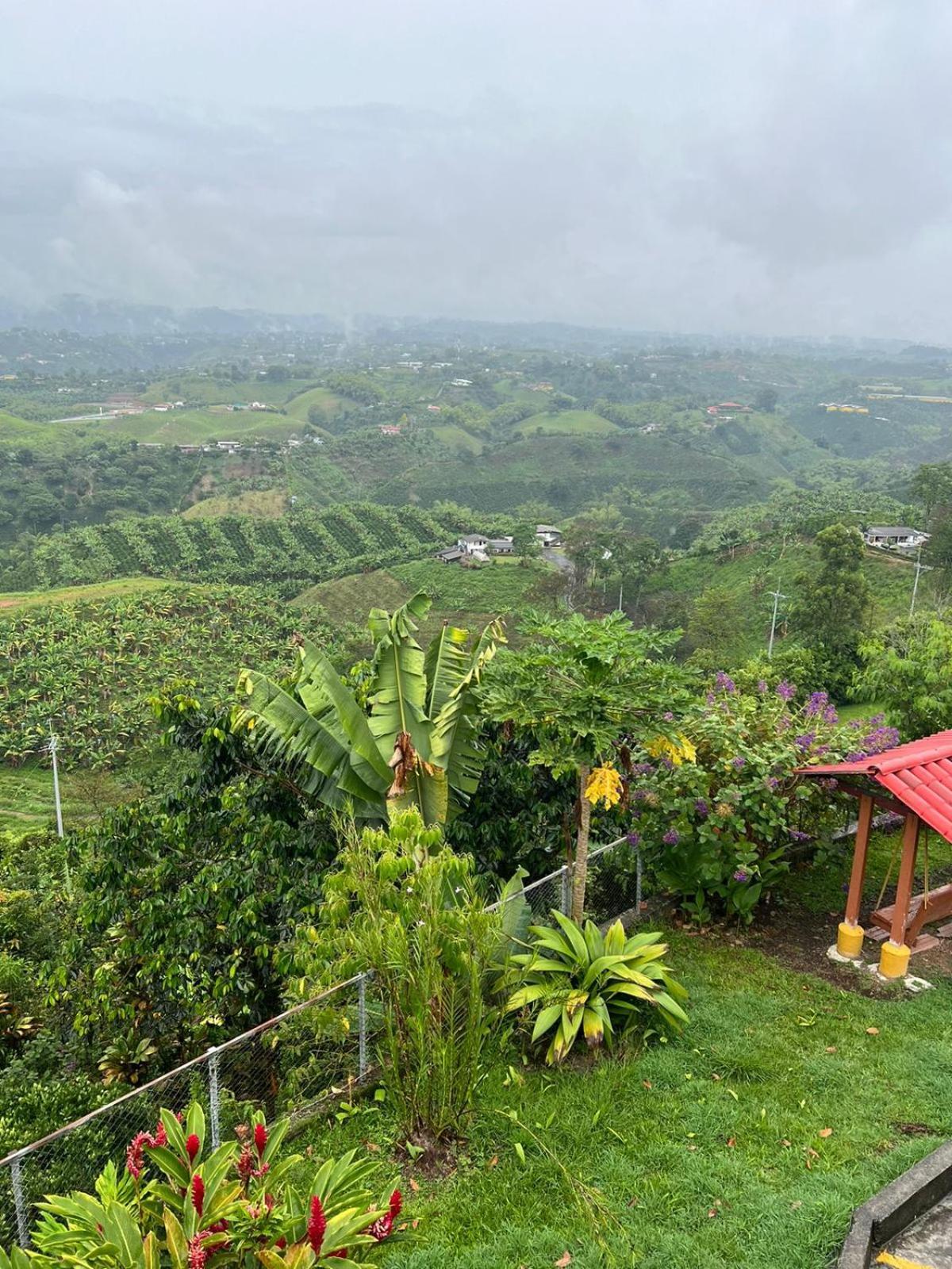 Eco Hotel La Selecta Pereira Exteriér fotografie